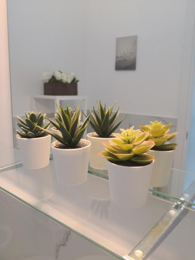 Apartamento Aurelia City Garden